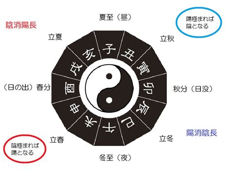 陰陽論 男女|東洋医学各論2 陰陽の本質（男女編、両親からの考。